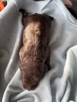 processed/2e74f29a-f110-40f5-b309-c2d1e1c67f7b/listing/dbe39901-a093-493b-a425-f4dd196feed6/be3236d8-fdd4-4db1-a70c-7d1d0456d1ee