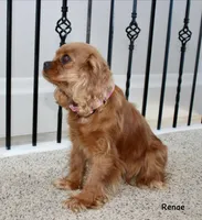 processed/2e751b09-7b76-4edb-a4f2-56bbca7928f0/listing/b92922d5-8408-41ae-86c6-bcbbd143bae7/1cb80876-e28c-47a2-956d-c400a7607bb0