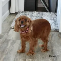 processed/2e751b09-7b76-4edb-a4f2-56bbca7928f0/listing/b92922d5-8408-41ae-86c6-bcbbd143bae7/24621682-1040-43e7-b0a7-ebc84f203216