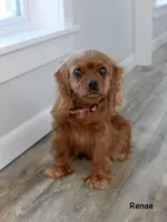 processed/2e751b09-7b76-4edb-a4f2-56bbca7928f0/listing/b92922d5-8408-41ae-86c6-bcbbd143bae7/915bd608-6941-4cb7-a5c3-1a7ce0c0a504