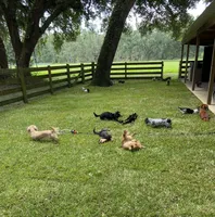 processed/2e7bcd99-ae47-4803-81c3-194afe2087f1/facility/49e39428-4adc-463b-a4f3-a60edee00647