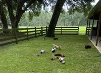 processed/2e7bcd99-ae47-4803-81c3-194afe2087f1/facility/baf453c9-c58b-4e28-8e62-5c0f1a168e6d