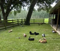 processed/2e7bcd99-ae47-4803-81c3-194afe2087f1/facility/e8f99bec-d5a2-41fe-9753-b95d24c8f0d0