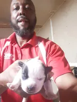 processed/2e7c2cbd-c0e0-4dd6-8888-b6f5bca7cc0b/listing/2965a3ba-4eb9-43c3-b799-a680db179eb3/02816320-4370-4a6c-b1ee-46eb155d2ac3