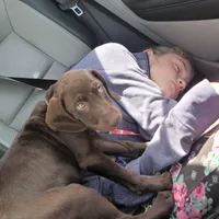 processed/2e7de8ac-1e93-42a6-8c9f-7e2189750cf9/facility/4ed1c703-bab9-4ee2-b293-f97a39bd95a6