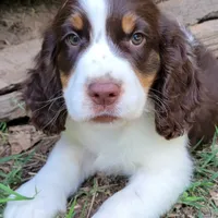 processed/2e7de8ac-1e93-42a6-8c9f-7e2189750cf9/facility/5db3fc6f-c159-40f7-82d8-980b340f0f85