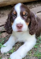 processed/2e7de8ac-1e93-42a6-8c9f-7e2189750cf9/facility/5db3fc6f-c159-40f7-82d8-980b340f0f85