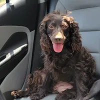 processed/2e7de8ac-1e93-42a6-8c9f-7e2189750cf9/facility/7bf786bd-845b-4d0f-9e81-8d8d28f20cd5