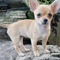 processed/2e7de8ac-1e93-42a6-8c9f-7e2189750cf9/facility/a2b93728-8f54-4fdf-8978-a96201cd041f