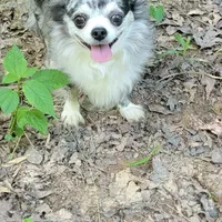 processed/2e7de8ac-1e93-42a6-8c9f-7e2189750cf9/facility/a53162ac-82a6-475c-98ae-48d7e84106cc