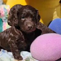 processed/2e7de8ac-1e93-42a6-8c9f-7e2189750cf9/facility/a599febd-68b8-4296-bdc2-1d9d2d31e0f5