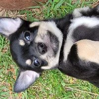 processed/2e7de8ac-1e93-42a6-8c9f-7e2189750cf9/facility/a5a701b8-6c57-46c0-81f0-0c229f35957c