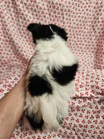 processed/2e7de8ac-1e93-42a6-8c9f-7e2189750cf9/listing/6ea36b7f-88b1-4e74-9da7-99f07b212f5e/0066e13f-afc3-4143-9ede-e50f2d9e2b21