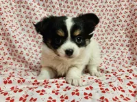 processed/2e7de8ac-1e93-42a6-8c9f-7e2189750cf9/listing/6ea36b7f-88b1-4e74-9da7-99f07b212f5e/59c42d88-8cd2-4488-a7d0-375021894fbc