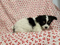 processed/2e7de8ac-1e93-42a6-8c9f-7e2189750cf9/listing/6ea36b7f-88b1-4e74-9da7-99f07b212f5e/5ca8003d-6c29-4af0-b2a7-a648cb80a919