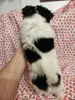 processed/2e7de8ac-1e93-42a6-8c9f-7e2189750cf9/listing/6ea36b7f-88b1-4e74-9da7-99f07b212f5e/7502d496-4672-46b6-ab7c-5ad70f94ed39