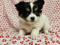 processed/2e7de8ac-1e93-42a6-8c9f-7e2189750cf9/listing/6ea36b7f-88b1-4e74-9da7-99f07b212f5e/f65d3895-ce6e-41cf-8ad4-8477da136b22