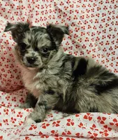 processed/2e7de8ac-1e93-42a6-8c9f-7e2189750cf9/listing/e88920fc-53b7-471c-8245-4f68a5fb0cb0/287c138f-60b4-4fdc-8fdd-d21a3a544ddb