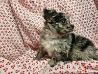 processed/2e7de8ac-1e93-42a6-8c9f-7e2189750cf9/listing/e88920fc-53b7-471c-8245-4f68a5fb0cb0/5a830647-831c-4dd4-89b3-ea7cff32b5a8