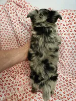 processed/2e7de8ac-1e93-42a6-8c9f-7e2189750cf9/listing/e88920fc-53b7-471c-8245-4f68a5fb0cb0/6aaeb01e-8aaf-449c-bb77-462d885dfb08