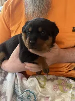 processed/2e828eef-e994-4fd3-9a89-30ec893519c7/listing/39c5592a-6c61-4676-b46b-90777af2ae46/30a4cf1d-bc3c-47ff-93e3-a4949e9c95fd