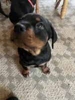 processed/2e828eef-e994-4fd3-9a89-30ec893519c7/listing/39c5592a-6c61-4676-b46b-90777af2ae46/ba94b347-b13c-407b-89ee-b2bb6172af99