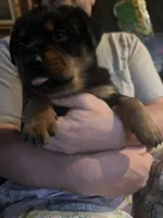 processed/2e828eef-e994-4fd3-9a89-30ec893519c7/listing/39c5592a-6c61-4676-b46b-90777af2ae46/eae9b516-d609-4272-b4b7-e1046b15c6bc