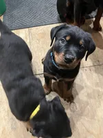 processed/2e828eef-e994-4fd3-9a89-30ec893519c7/listing/788038e8-55f9-41f6-baa8-0f118a76d2d3/57bad65f-9470-41c2-a87d-3d7a05e024a2