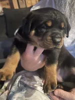 processed/2e828eef-e994-4fd3-9a89-30ec893519c7/listing/788038e8-55f9-41f6-baa8-0f118a76d2d3/ef6624cd-5035-4cda-9525-89fb16361f1a