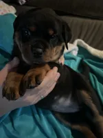 processed/2e828eef-e994-4fd3-9a89-30ec893519c7/listing/b5766c85-30ba-4bdd-ab70-8e50d2568ba8/4d227a31-6573-4025-8e9e-7489b0699437