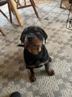 processed/2e828eef-e994-4fd3-9a89-30ec893519c7/listing/b8627071-1b57-4e42-b46c-0fa558d1791a/2f58b07a-c1ce-4bda-b467-921e322c0953