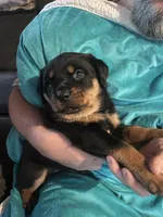 processed/2e828eef-e994-4fd3-9a89-30ec893519c7/listing/d7db2774-39b2-4e11-9ef9-58f641a403a8/105d2d19-ec05-4f17-8ead-9b77b2bf0899