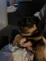 processed/2e828eef-e994-4fd3-9a89-30ec893519c7/listing/d7db2774-39b2-4e11-9ef9-58f641a403a8/1f87b6c3-4ec4-4edc-8ee9-f64bfc2fc48a