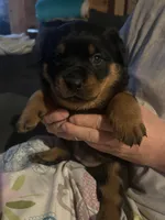 processed/2e828eef-e994-4fd3-9a89-30ec893519c7/listing/d7db2774-39b2-4e11-9ef9-58f641a403a8/45b75e15-7c0d-4a0b-8520-be7113164efb