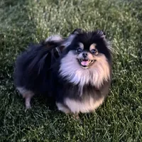 processed/2e83dfb6-a1d5-42b9-bc1f-0b6e8f659a01/facility/055ed5eb-374d-452c-a478-8bef8c9abe55