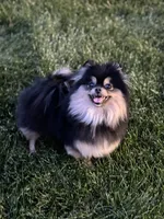 processed/2e83dfb6-a1d5-42b9-bc1f-0b6e8f659a01/facility/055ed5eb-374d-452c-a478-8bef8c9abe55