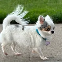 processed/2e83dfb6-a1d5-42b9-bc1f-0b6e8f659a01/facility/269db005-14eb-4610-9088-ef1876a5d5f3