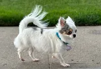 processed/2e83dfb6-a1d5-42b9-bc1f-0b6e8f659a01/facility/269db005-14eb-4610-9088-ef1876a5d5f3