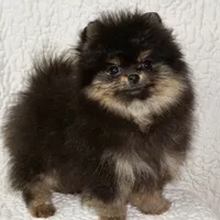 processed/2e83dfb6-a1d5-42b9-bc1f-0b6e8f659a01/facility/7d08f87c-f42b-41ac-9cfa-15ceedc77f89