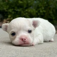 processed/2e83dfb6-a1d5-42b9-bc1f-0b6e8f659a01/facility/86134c97-0e4a-4357-9203-de432b1273d8