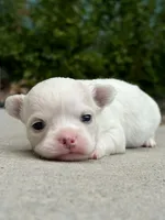 processed/2e83dfb6-a1d5-42b9-bc1f-0b6e8f659a01/facility/86134c97-0e4a-4357-9203-de432b1273d8