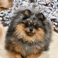 processed/2e83dfb6-a1d5-42b9-bc1f-0b6e8f659a01/facility/90eaae17-0b24-40c8-bcb0-96de5e1c69e4