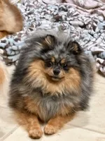 processed/2e83dfb6-a1d5-42b9-bc1f-0b6e8f659a01/facility/90eaae17-0b24-40c8-bcb0-96de5e1c69e4