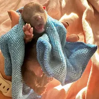 processed/2e83dfb6-a1d5-42b9-bc1f-0b6e8f659a01/facility/db471526-89d1-4439-8b26-0ebd680aead0