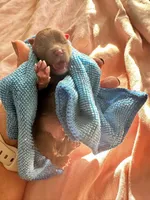 processed/2e83dfb6-a1d5-42b9-bc1f-0b6e8f659a01/facility/db471526-89d1-4439-8b26-0ebd680aead0