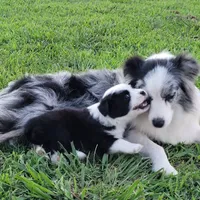 processed/2e8611ae-01ca-4677-b210-f48b8f4073ae/facility/42ff8d46-c9fc-49af-a17c-f641f6afae9b