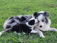 processed/2e8611ae-01ca-4677-b210-f48b8f4073ae/facility/42ff8d46-c9fc-49af-a17c-f641f6afae9b