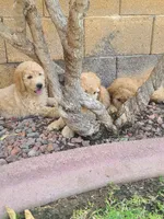 processed/2e879354-8b0b-483e-bc32-10dd1508767c/facility/25768cfc-3e0d-4bd6-9b7a-4c3ca77cf2f6