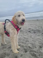 processed/2e879354-8b0b-483e-bc32-10dd1508767c/facility/489cba45-a45a-4850-a47b-83f33dc2e10f