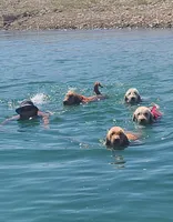 processed/2e879354-8b0b-483e-bc32-10dd1508767c/facility/e4175270-8aed-47f7-ab29-3718d12321e8